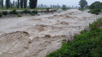 Прикрепленное изображение: photo-2021-07-04-17-47-43.jpg